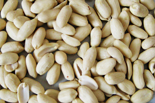 Blanched peanut kernel