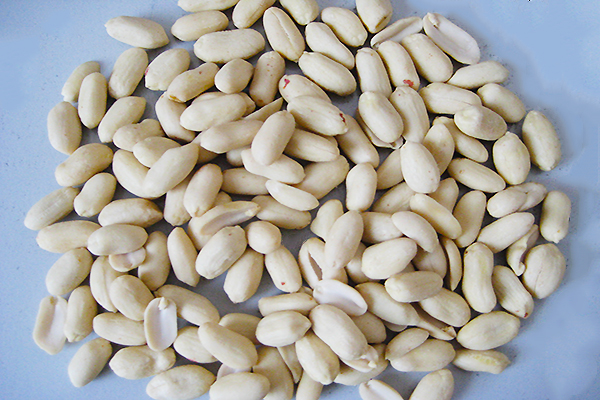 Blanched peanut kernel